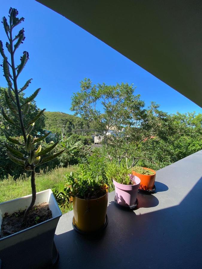 Casa De Hospede Dunas Do Siriu Garopaba Dış mekan fotoğraf